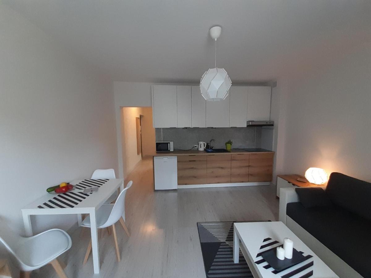 Apartamenty Lewa 罗兹 外观 照片